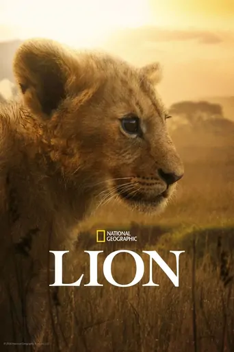 Aslan Kralın Doğuşu Dizi izle