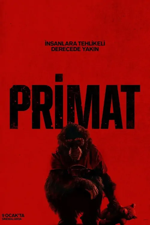 Primat